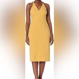 Dress the Population Women's Lyla Plunging Sleeveless Fitted Midi Sheath Dress